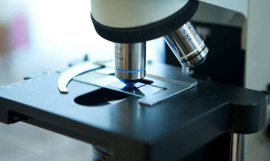 Krążki węglowe w mikroskopii skaningowej – zastosowanie i właściwości