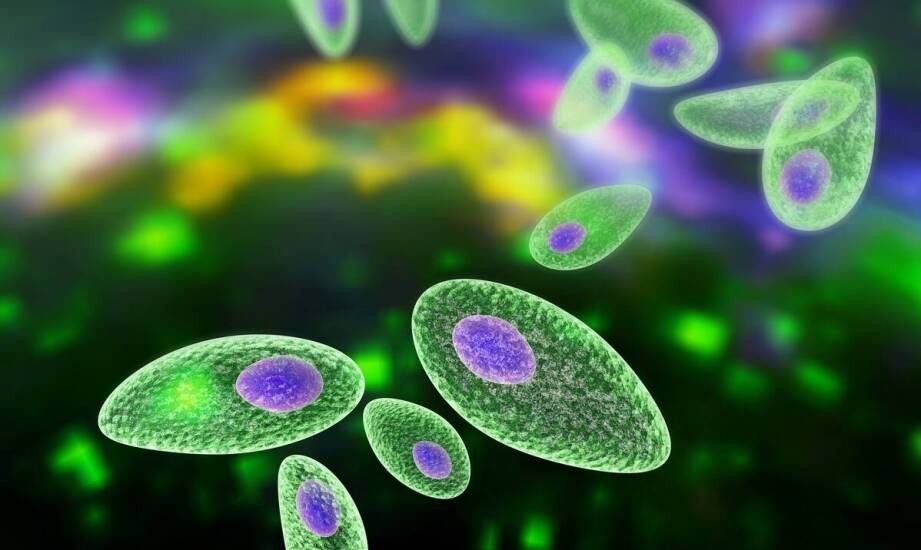 Metody mnożenia komórek roślinnych i ich zastosowanie w biotechnologii