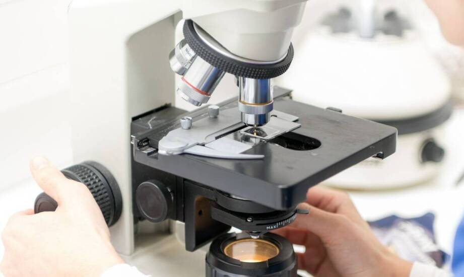 Pudełka na szkiełka mikroskopowe – zastosowanie i wybór odpowiednich rozwiązań