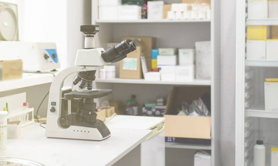 Jakie znaczenie mają pudełka do przechowywania szkiełek w pracy laboratoryjnej?