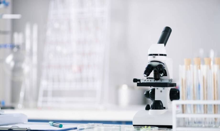 Rodzaje szkiełek mikroskopowych – zastosowania w badaniach naukowych