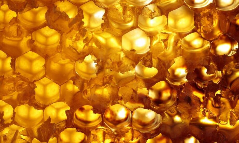 Koloidalne związki złota sprzężone z przeciwciałami – możliwości zastosowań