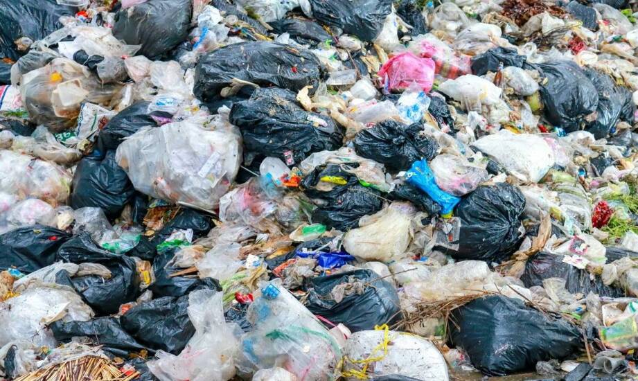 Wywóz śmieci – co warto wiedzieć o odbiorze i segregacji odpadów