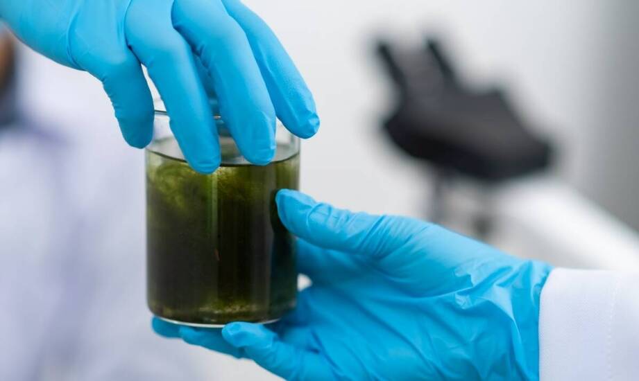 Jak przebiega neutralizacja kwasów i jakie substancje są najczęściej stosowane