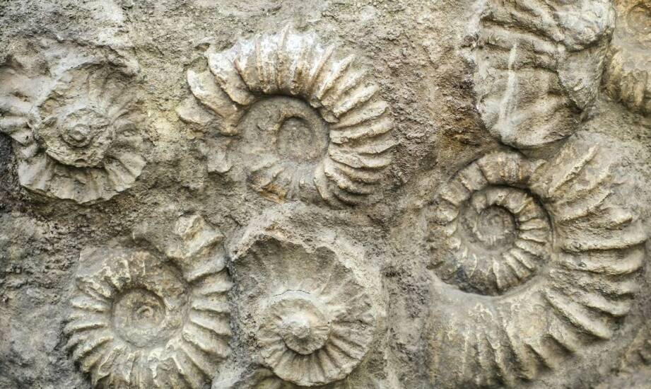 Kształtki wieńcowe – istotny element konstrukcji stropów i ścian nośnych