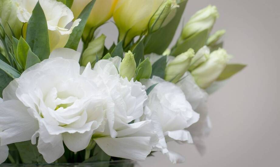 Jakie usługi obejmuje branża pogrzebowa oraz jak wygląda ich realizacja