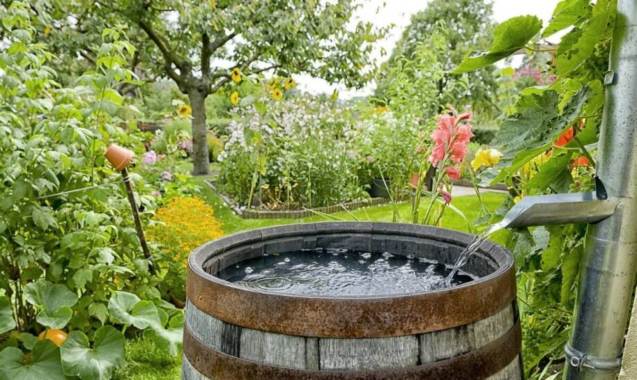 Całoroczne jacuzzi ogrodowe – funkcje, zalety i inspiracje aranżacyjne