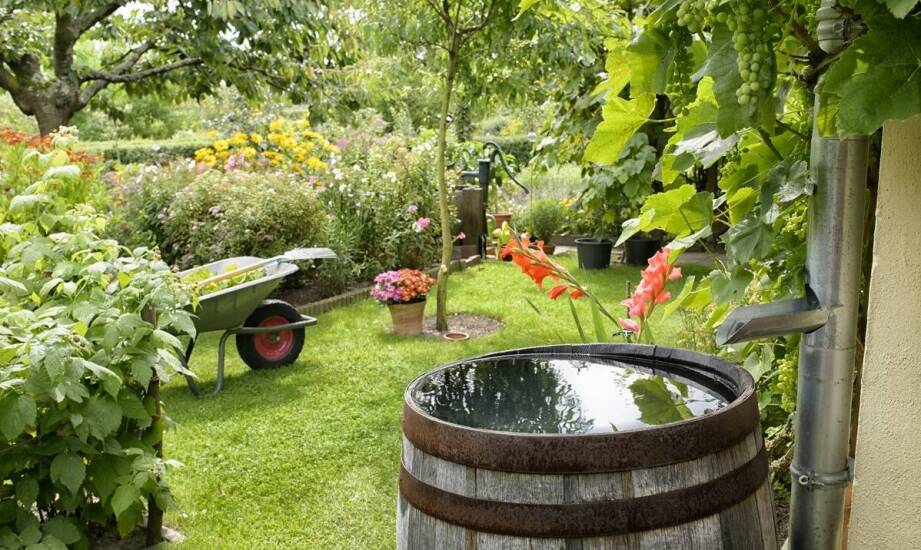 Swim SPA – relaks, aktywność i zdrowie w jednym rozwiązaniu do ogrodu