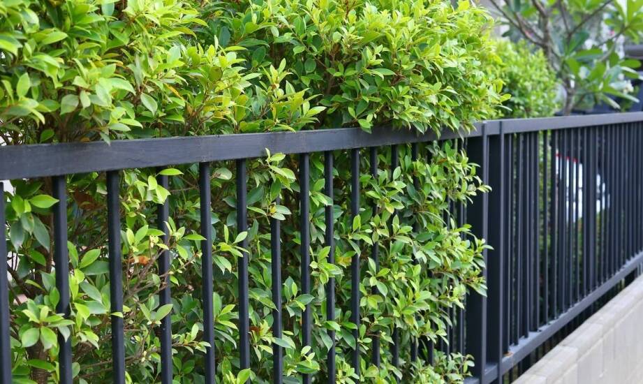 Ogrodzenia posesji – przegląd materiałów, trwałość oraz walory estetyczne