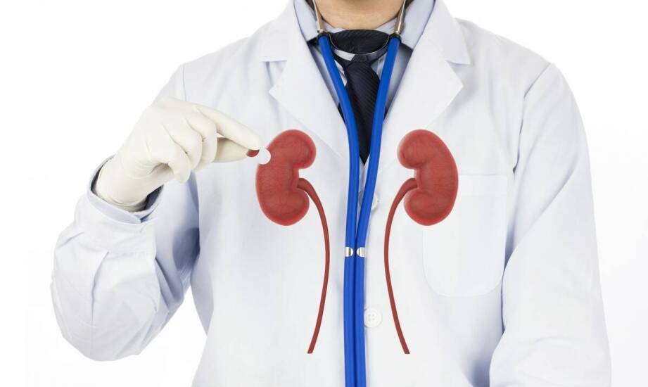 Jak wybrać solidne nerki od sprawdzonych producentów – praktyczne wskazówki