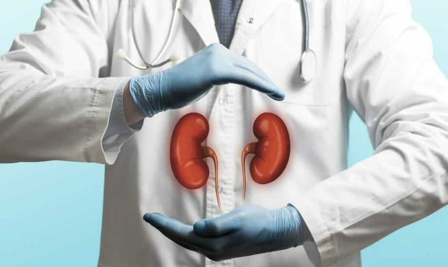 Saszetki nerki – zastosowanie, materiały i popularne trendy wśród akcesoriów