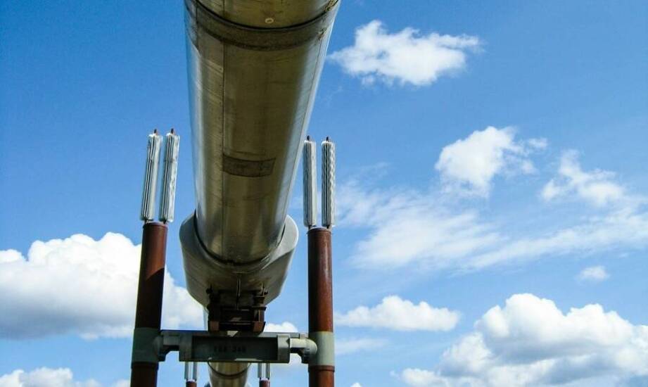 Zastosowanie wag VEI w ładowarkach teleskopowych – kluczowe informacje