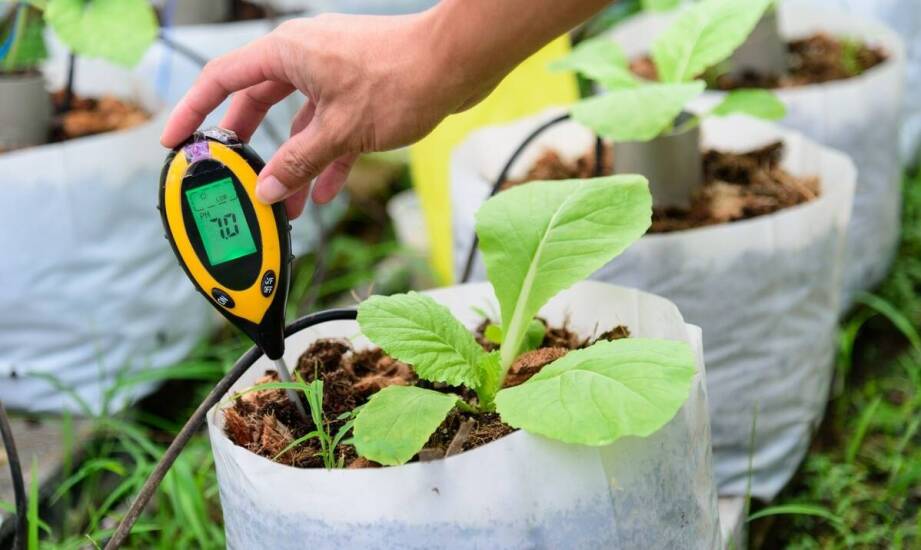 Znaczenie dokładnego ważenia w procesach bio-kompostowania i produkcji biogazu