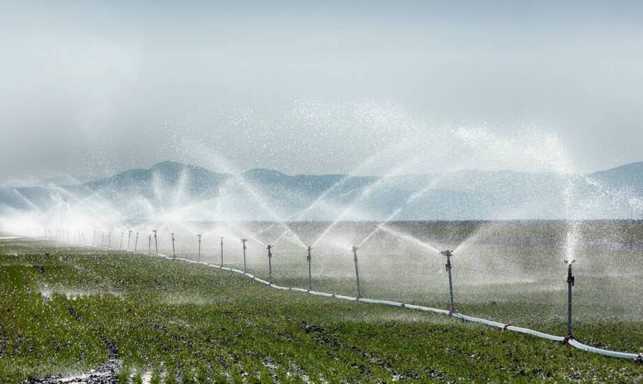 Zastosowanie instalacji mgły wodnej w różnych branżach i ich najważniejsze zalety