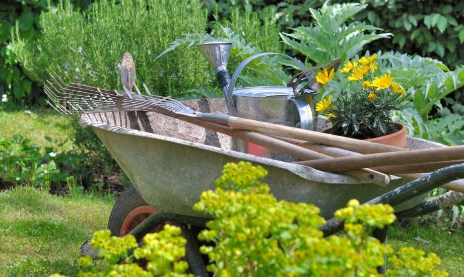 Kotwy – zastosowania, rodzaje i praktyczne rozwiązania w mocowaniach