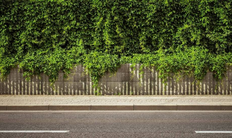 Ogrodzenia kute – inspiracje wzornictwem i trwałość w architekturze posesji