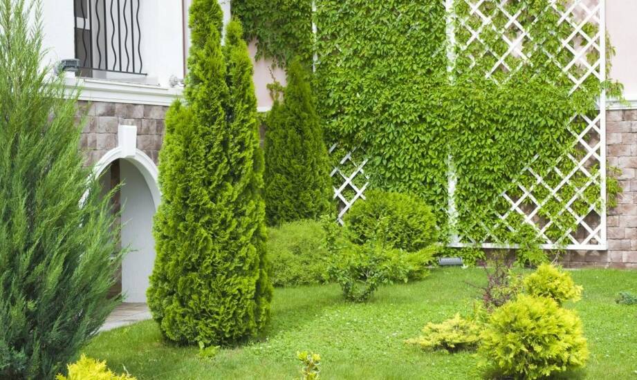 Ogrodzenia – praktyczne informacje, popularne materiały i funkcje na działce