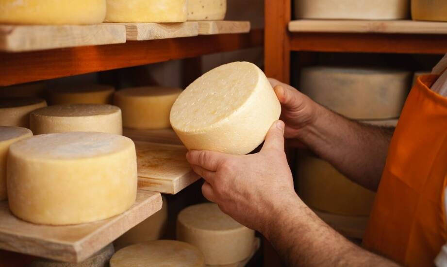 Sery włoskie od producenta – tradycja, składniki i smak w pigułce