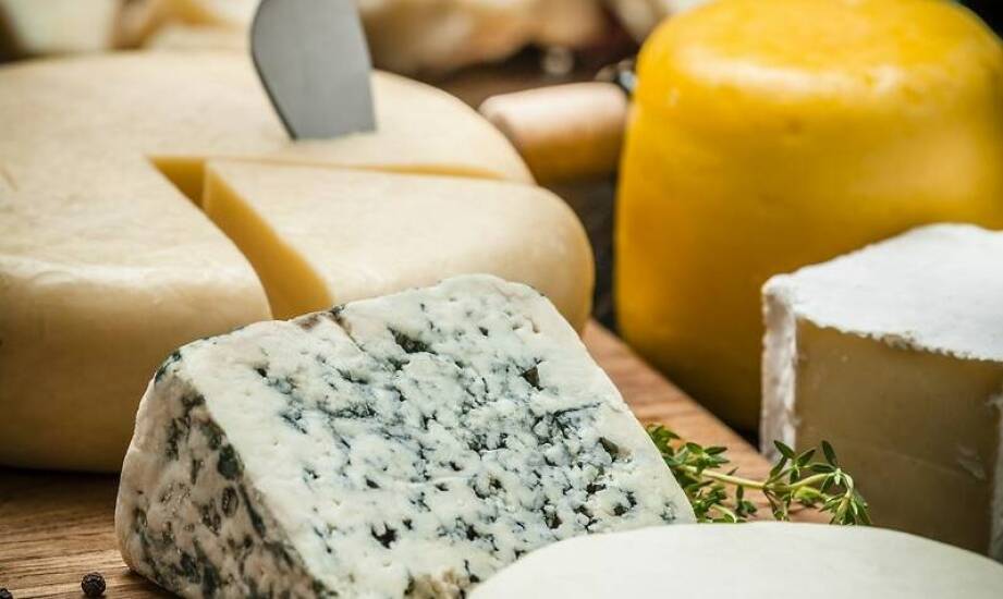 Jak powstają najlepsze sery – ciekawostki i tajemnice branży mleczarskiej