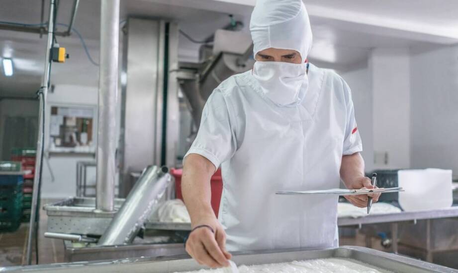 Jak powstaje mozzarella? Proces wytwarzania i ciekawostki o serze z mleka