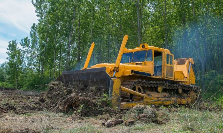 Najlepsze metody usuwania zarośli i koszenia zaniedbanych terenów