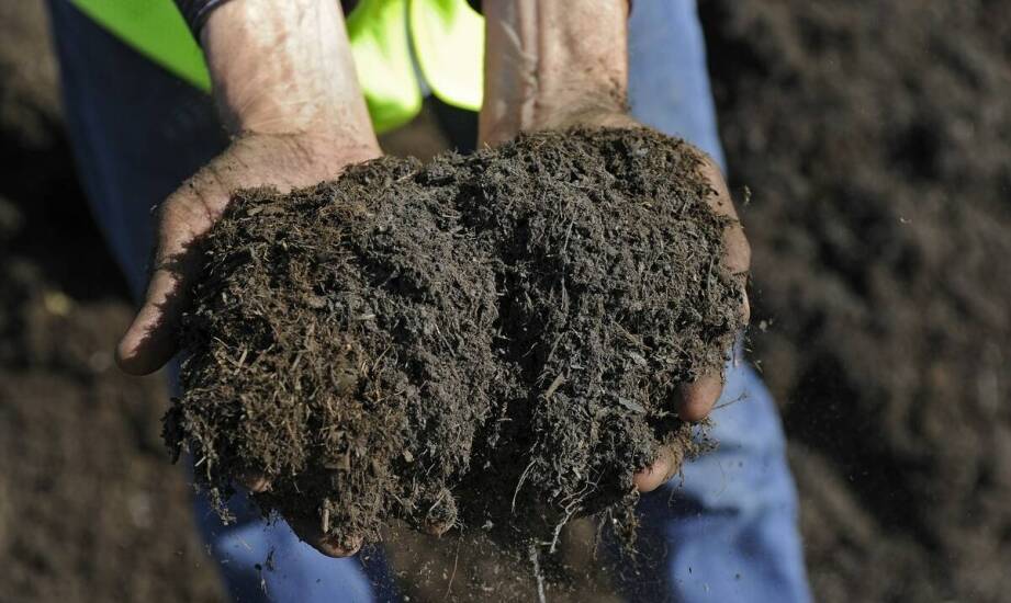 Jak mulczowanie wpływa na stan gleby i roślinność na różnych terenach