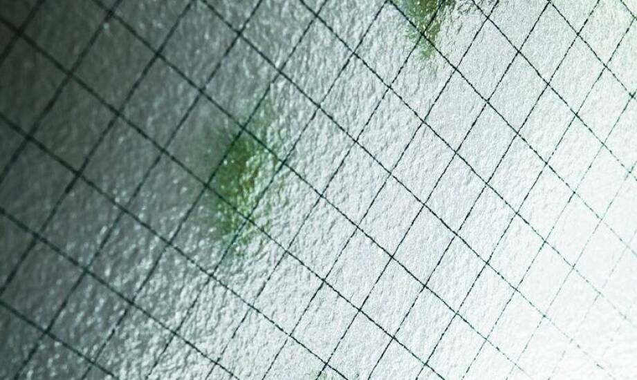 Moskitiery AMS – skuteczna bariera przed owadami i komfort w każdym wnętrzu