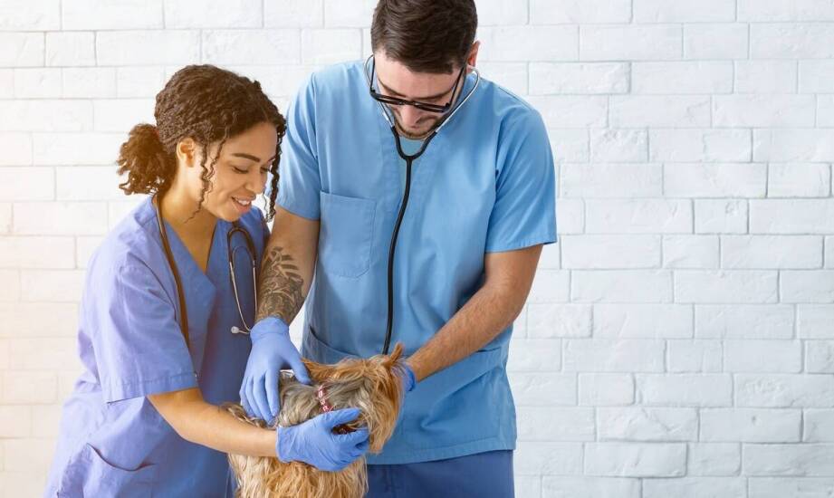 Korzyści współpracy z radcą prawnym przy prowadzeniu działalności gospodarczej