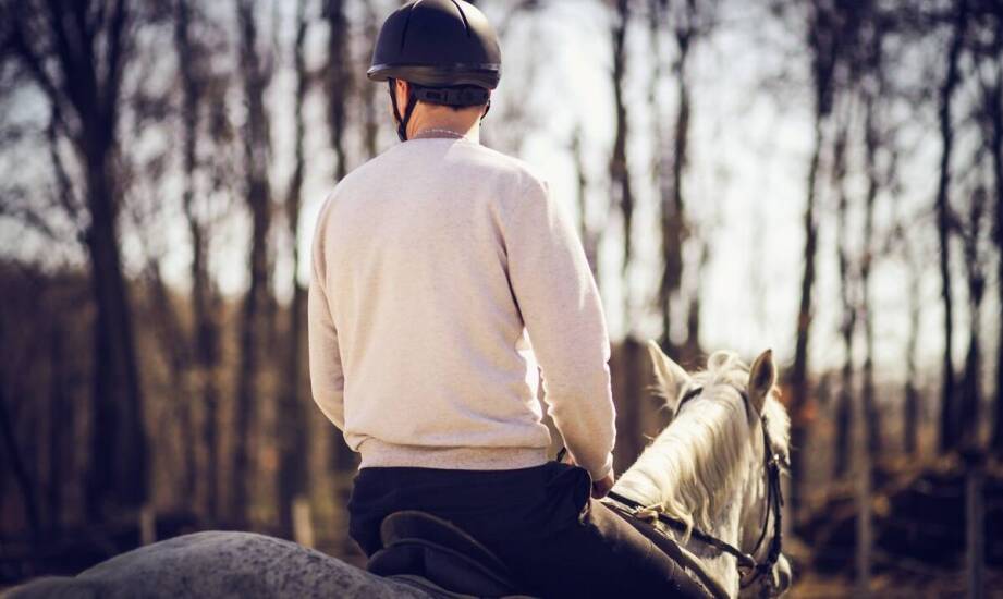 Bluza jeździecka – funkcje, materiały i modne rozwiązania dla pasjonatów