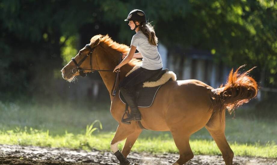 T-shirty jeździeckie – jak wybrać funkcjonalny i wygodny model na co dzień