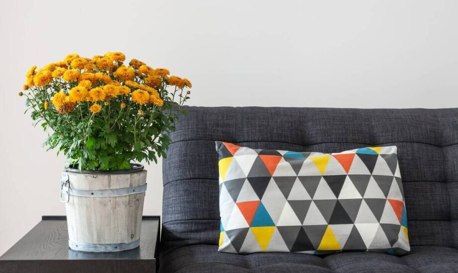 Jak wybrać poduszkę z nadrukiem pasującą do każdego stylu wnętrza
