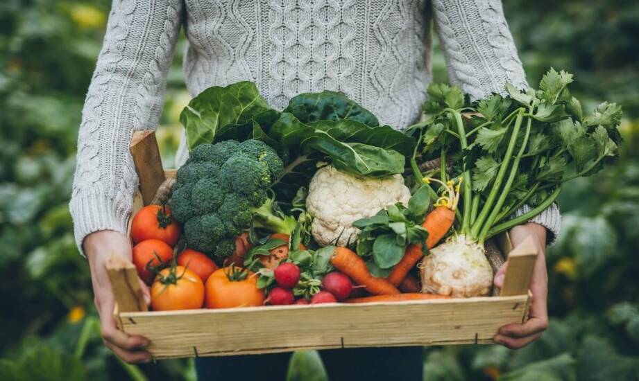 Ekologiczna żywność a zdrowie – co warto wiedzieć przed zakupami