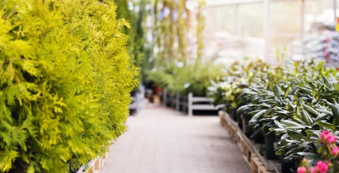 Zalety inwestycji w biologiczną oczyszczalnię ścieków przy domu