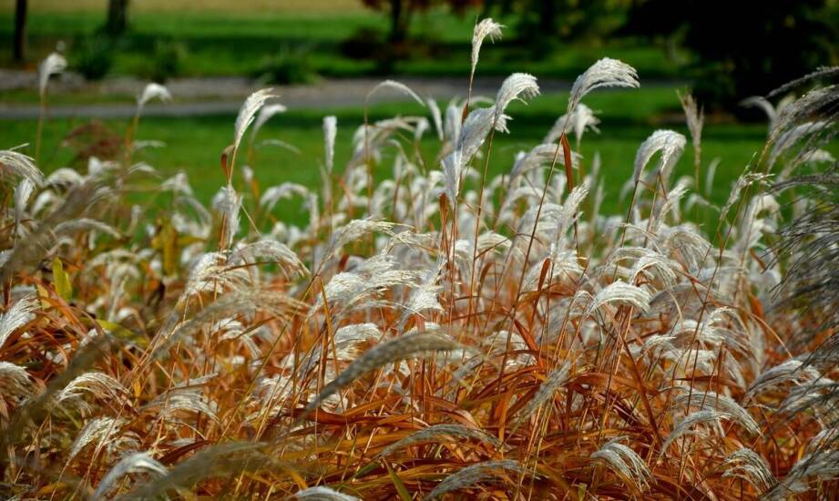 Druk ulotek – sprawdzone techniki i pomysły na przyciągającą uwagę reklamę