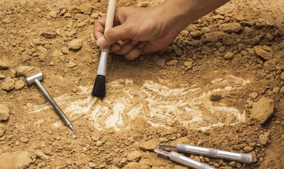 Jak przebiegają badania geologiczne gruntu i kiedy są potrzebne?