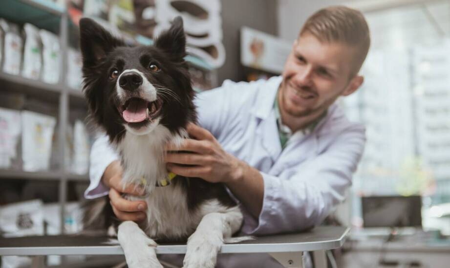 Jak działa komornik sądowy i kiedy można się z nim spotkać?