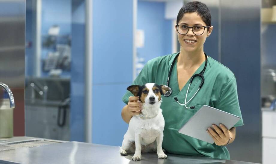 Najczęstsze objawy chorób u zwierząt – kiedy niezbędna jest wizyta u weterynarza