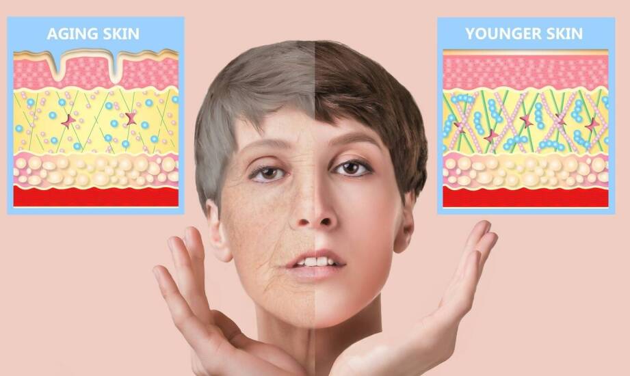 Kosmetyki kolagenowe do ciała — korzyści, działanie i składniki aktywne