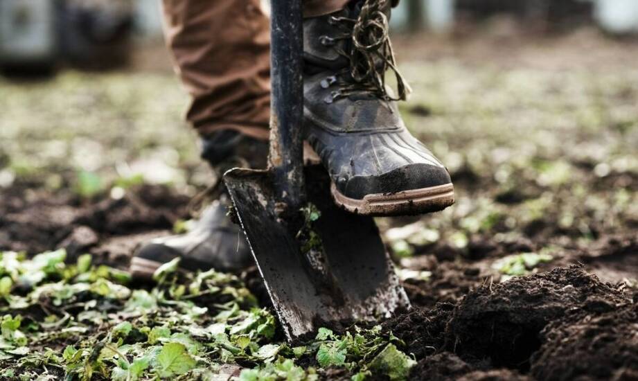 Buty gumowe do pracy – właściwości, zastosowania i korzyści użytkowania