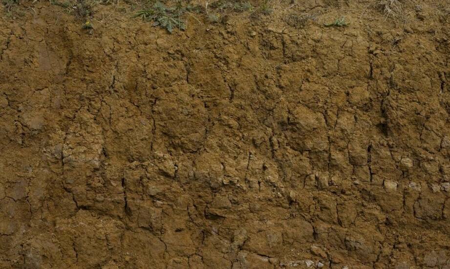 Grunt sczepny – zastosowanie, właściwości i znaczenie w pracach budowlanych