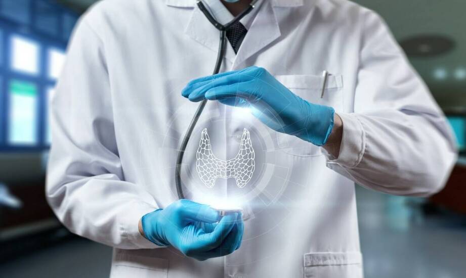 Ekspertyza mykologiczna – kiedy jest niezbędna i jakie daje możliwości