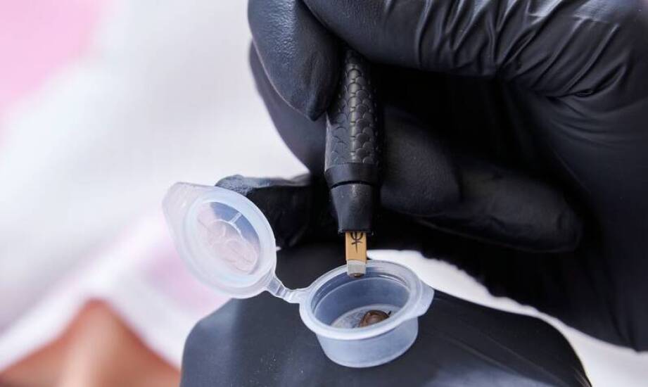 Objawy i skutki obecności grzybów w budynkach – co warto wiedzieć