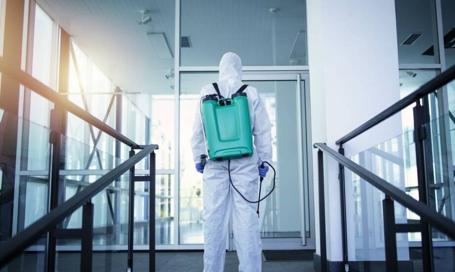 Z czego wynika konieczność przeprowadzenia ekspertyzy mykologicznej w budownictwie