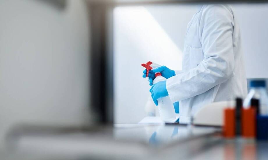 Usuwanie grzybów i pleśni w budynkach – skuteczne metody i zalecenia