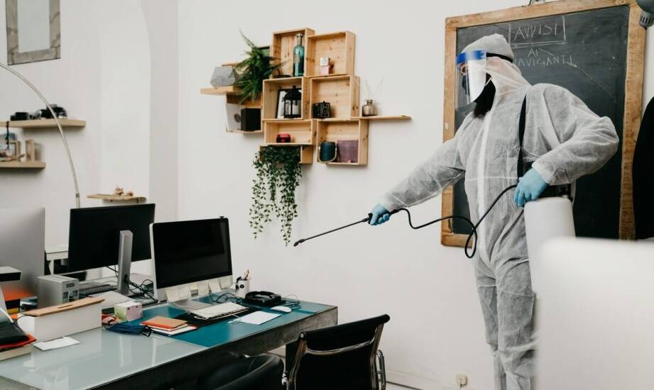 Badania mykologiczne w budownictwie – kiedy są potrzebne i jak przebiegają