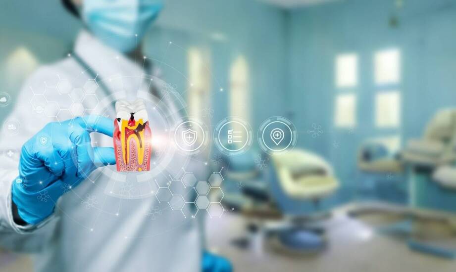 Wpływ grzybów na stan budynków – najważniejsze fakty i metody zwalczania