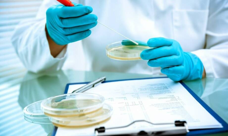 Czym jest ekspertyza mykologiczna i jakie problemy może wykryć w budynkach