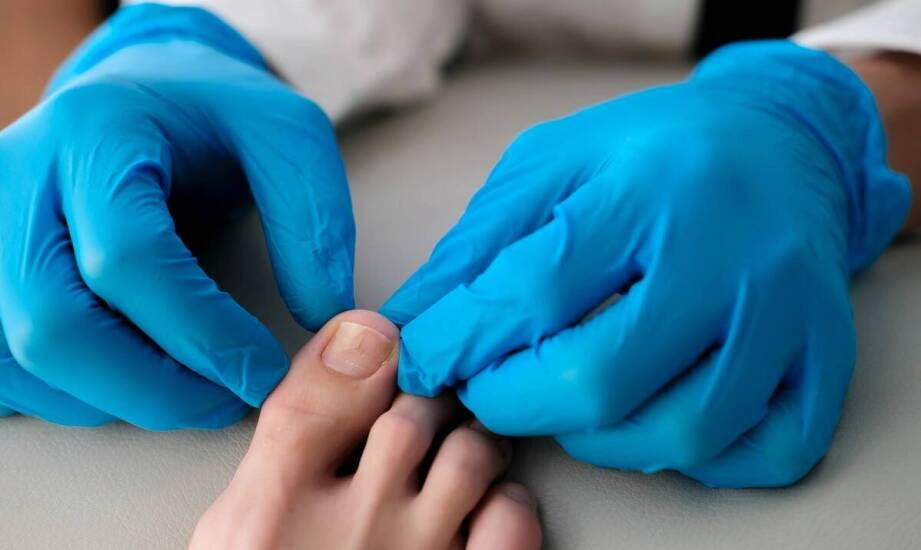 Apiwarol – skuteczne wsparcie w utrzymaniu zdrowia rodzin pszczelich