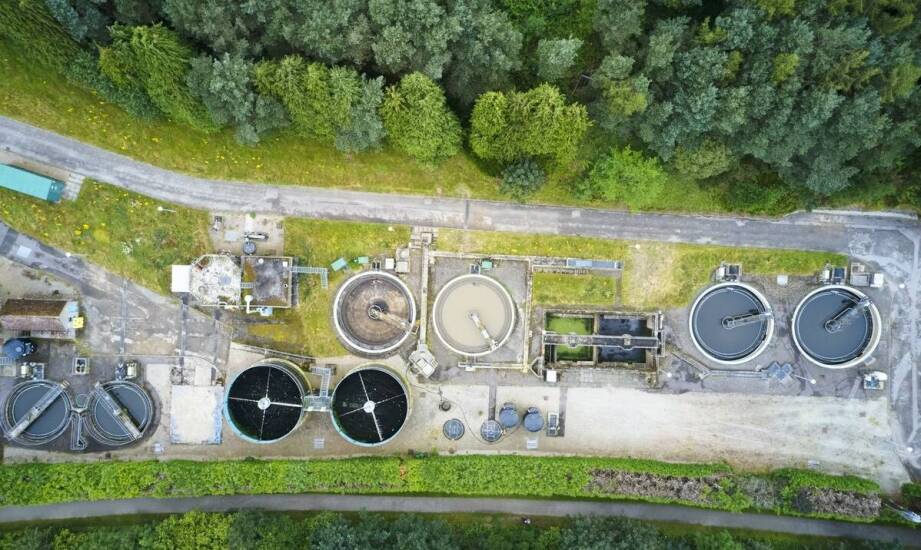 Apiwarol – zastosowanie i działanie preparatu w ochronie pszczół