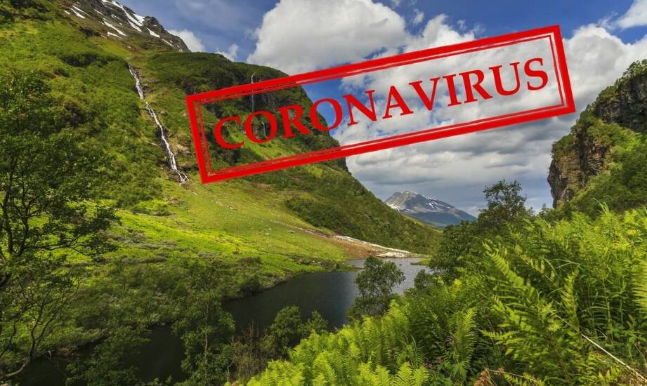 Apiwar – skuteczność i znaczenie w ochronie pszczół przed pasożytami